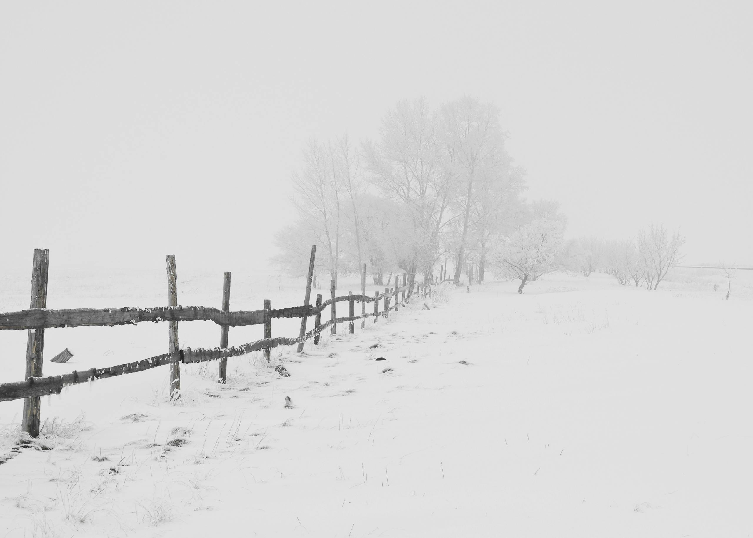 A serene winter scene featuring a rustic wooden fence in a snow-covered landscape.
