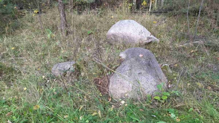 Czy siostry to przyjaciółki?