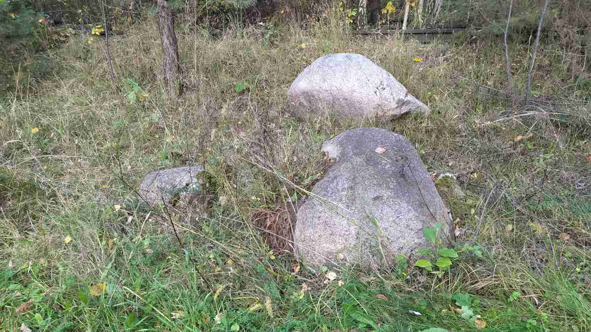 Czy siostry to przyjaciółki?