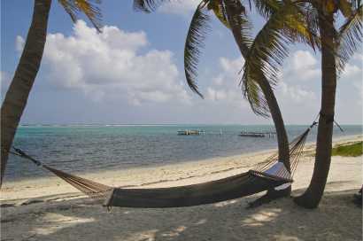 Zostać w pracy, czy przejść na emeryturę?