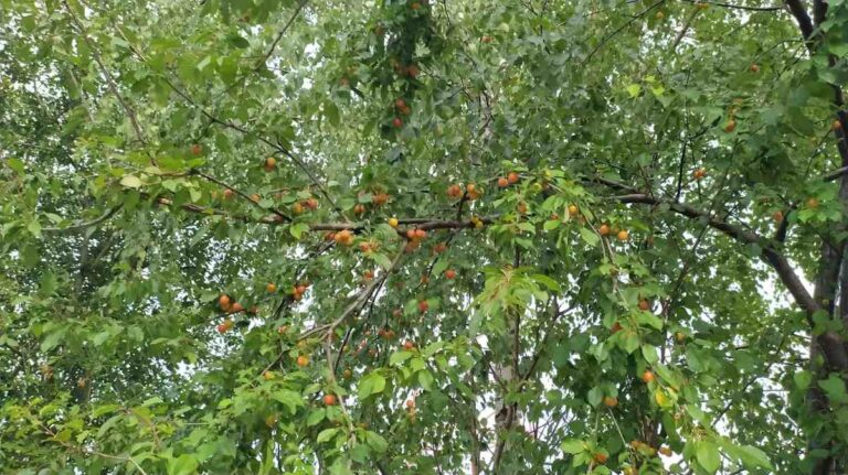 Co wypada na emeryturze?