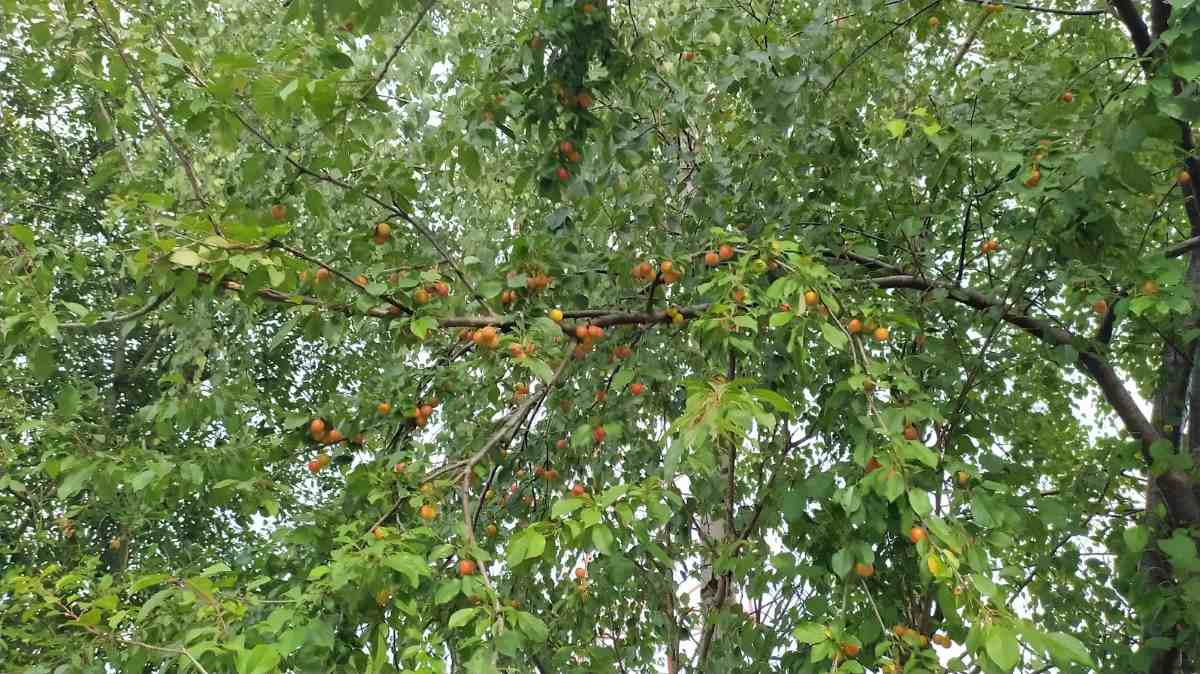 Co wypada na emeryturze?