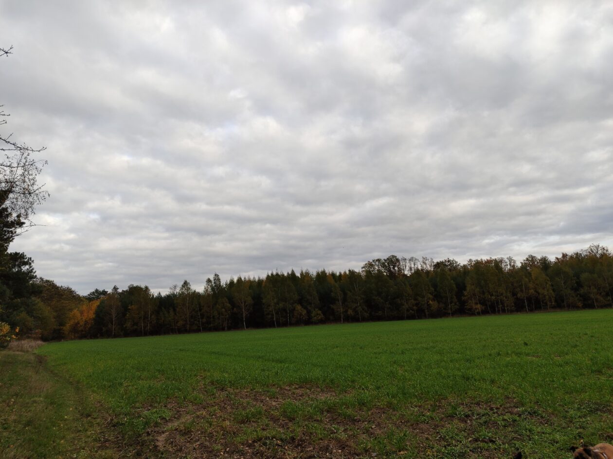 Nikt nie jest gotowy na śmierć