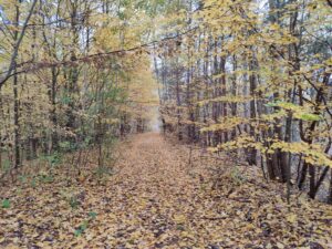 Śmierć pasuje do listopada.