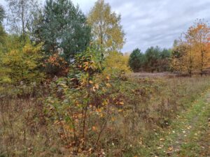 Wakacje we wrześniu dla seniorów