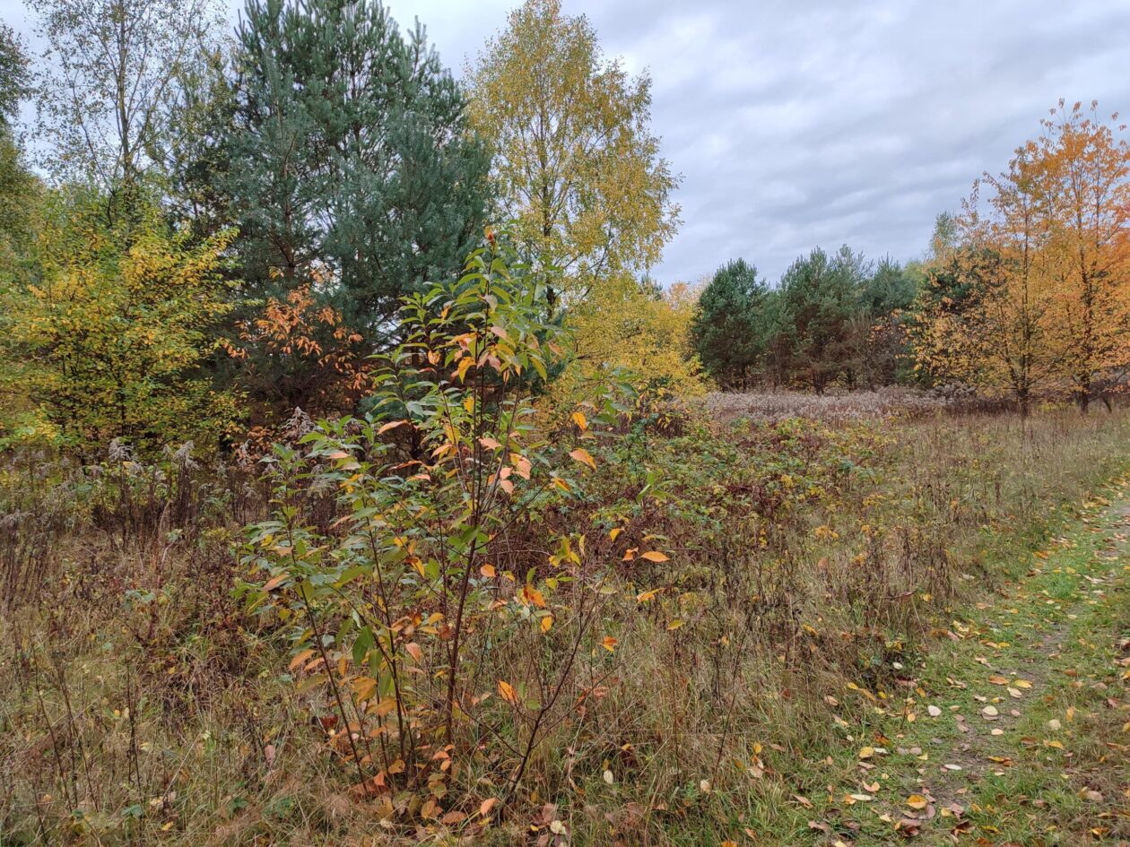 Wakacje we wrześniu dla seniorów