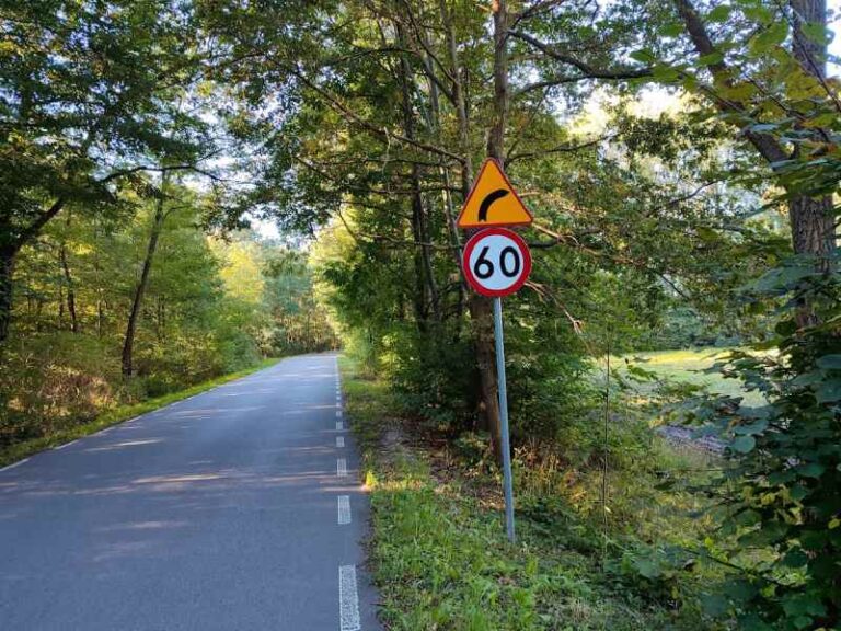 Znak ograniczenia prędkości